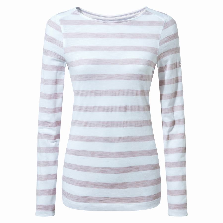 Craghoppers NosiLife Erin Long Sleeved Women\'s T-Shirts Purple Stripes | JDK261LM