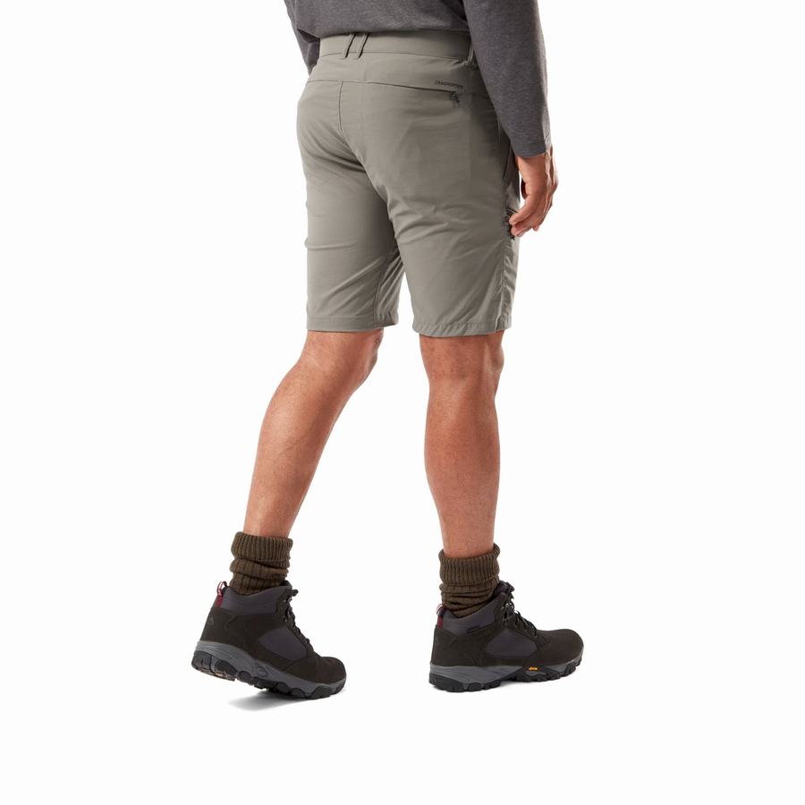 Craghoppers NosiLife Pro Active Men's Shorts Grey | DBH135BO