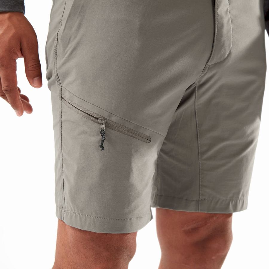 Craghoppers NosiLife Pro Active Men's Shorts Grey | DBH135BO