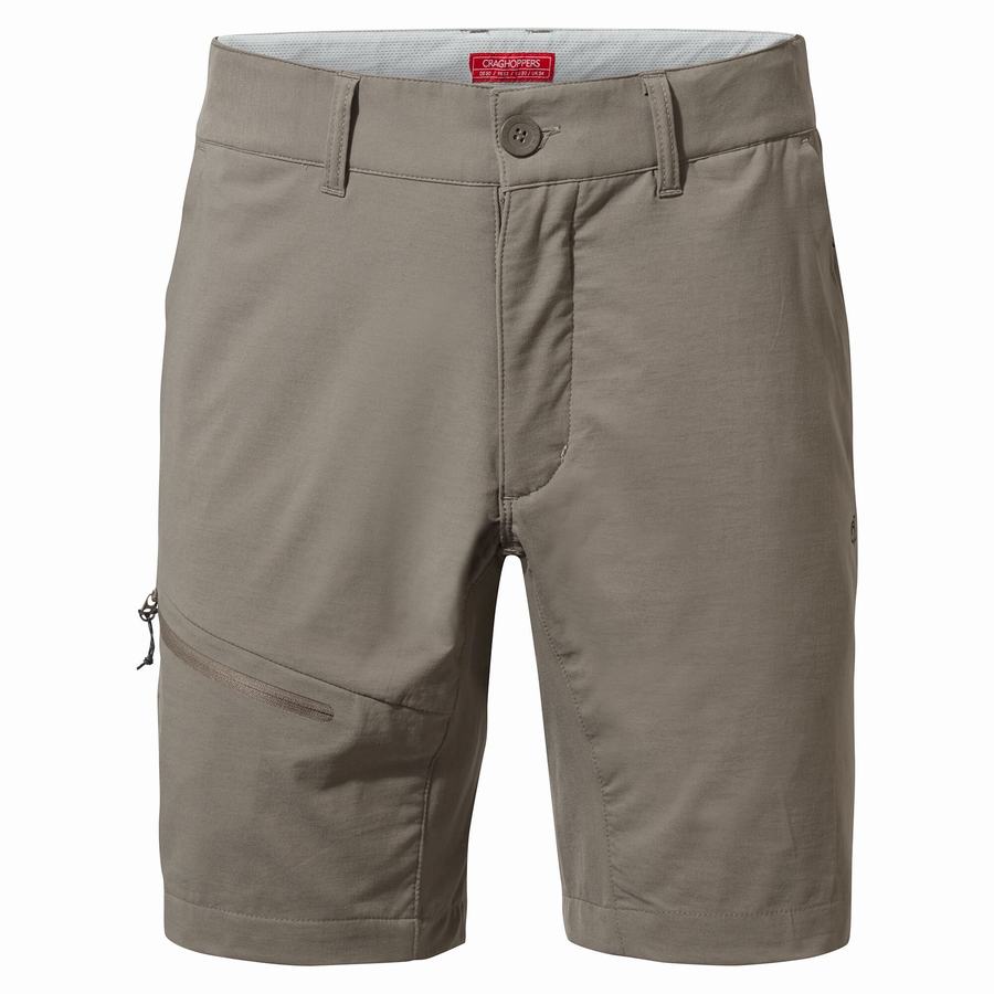 Craghoppers NosiLife Pro Active Men's Shorts Grey | DBH135BO