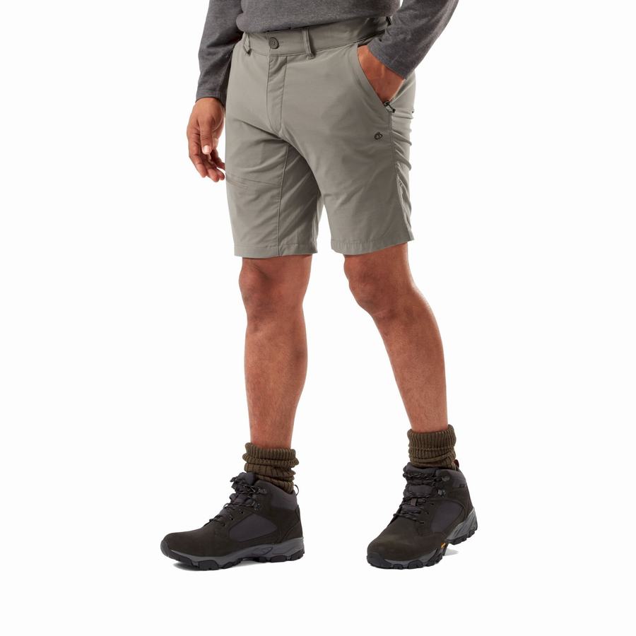 Craghoppers NosiLife Pro Active Men's Shorts Grey | DBH135BO