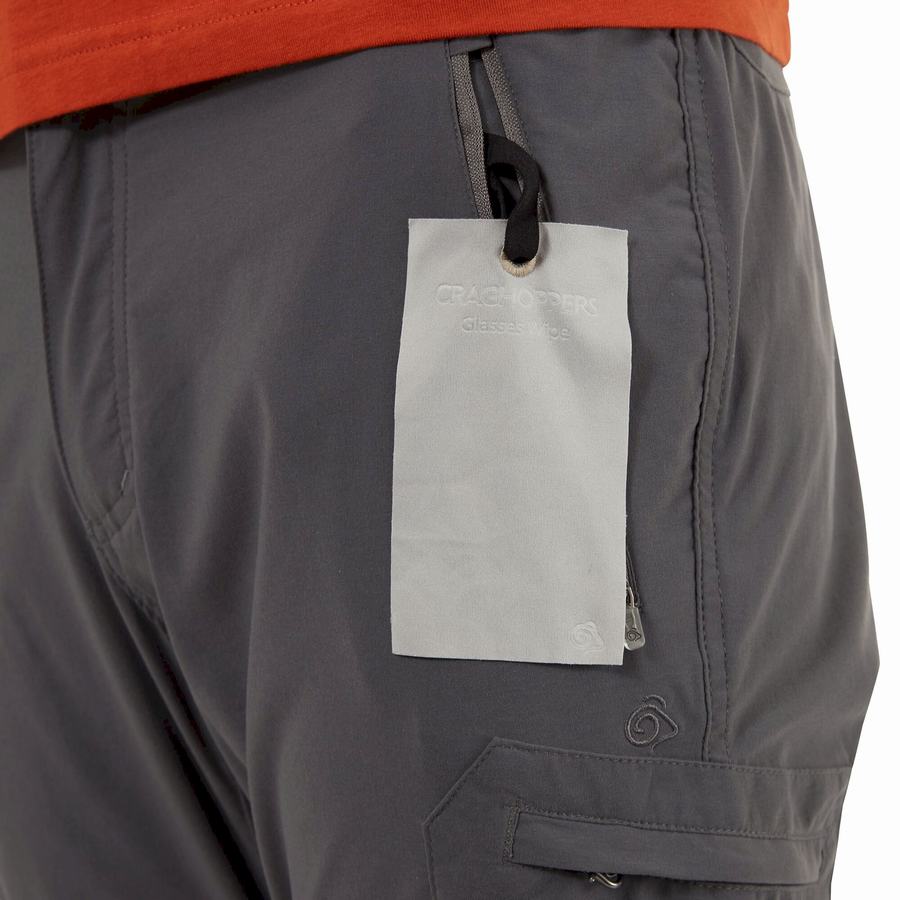 Craghoppers NosiLife Pro II Men's Trousers Grey | MOD9352CE