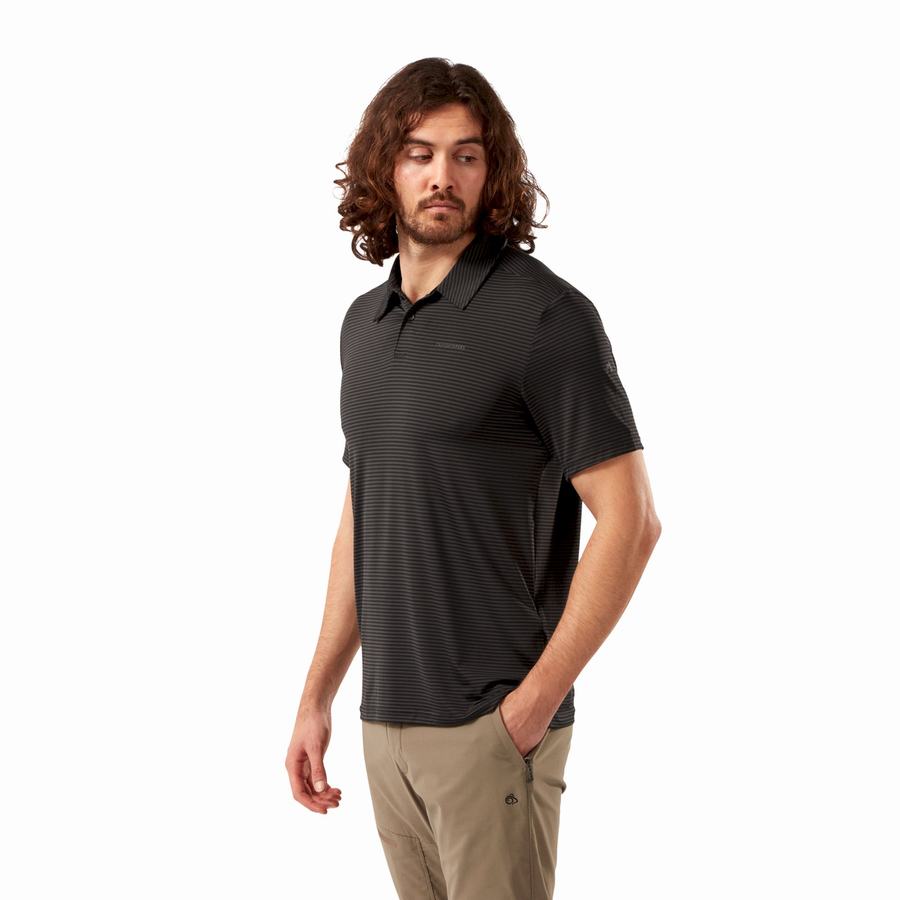 Craghoppers NosiLife Pro Short Sleeved Polo Men's T-Shirts Black Stripes | ZEE7269MK