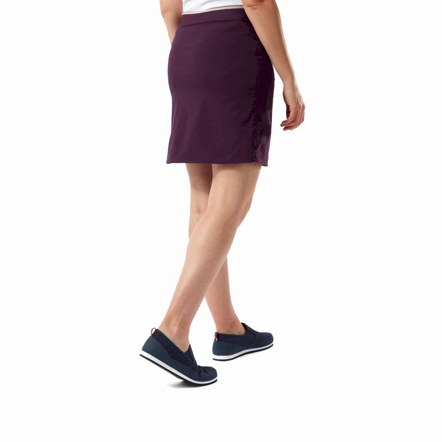 Craghoppers NosiLife Pro Skort Women's Shorts Purple | VRH3763RL