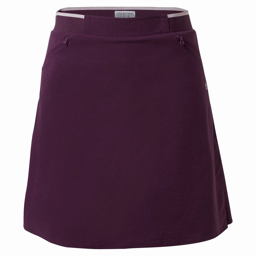 Craghoppers NosiLife Pro Skort Women's Shorts Purple | VRH3763RL