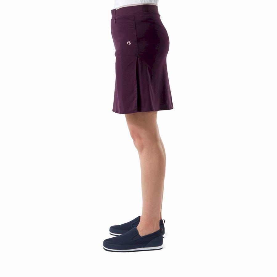 Craghoppers NosiLife Pro Skort Women's Shorts Purple | VRH3763RL