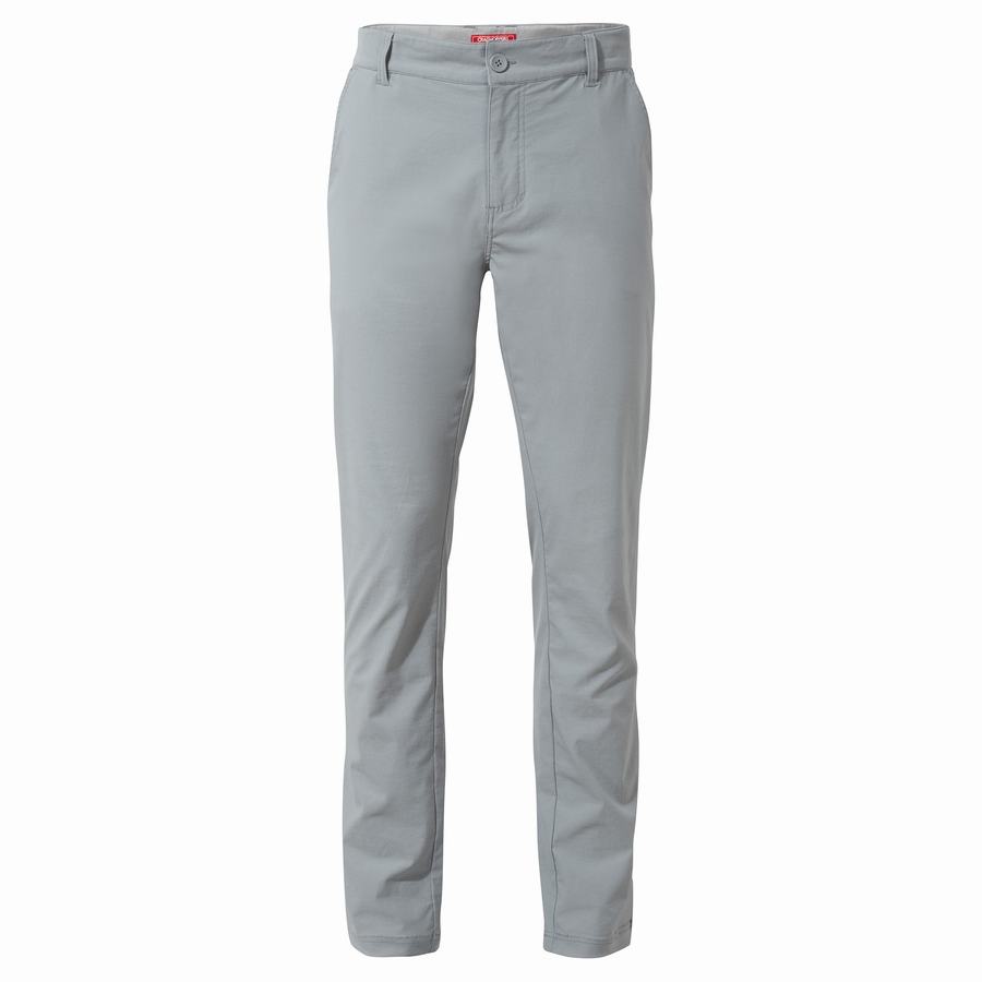 Craghoppers NosiLife Santos Men's Trousers Grey | FQB2515YN