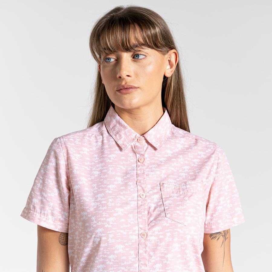 Craghoppers NosiLife Tillia Short Sleeved Women's Shirts Pink | JUG433MZ