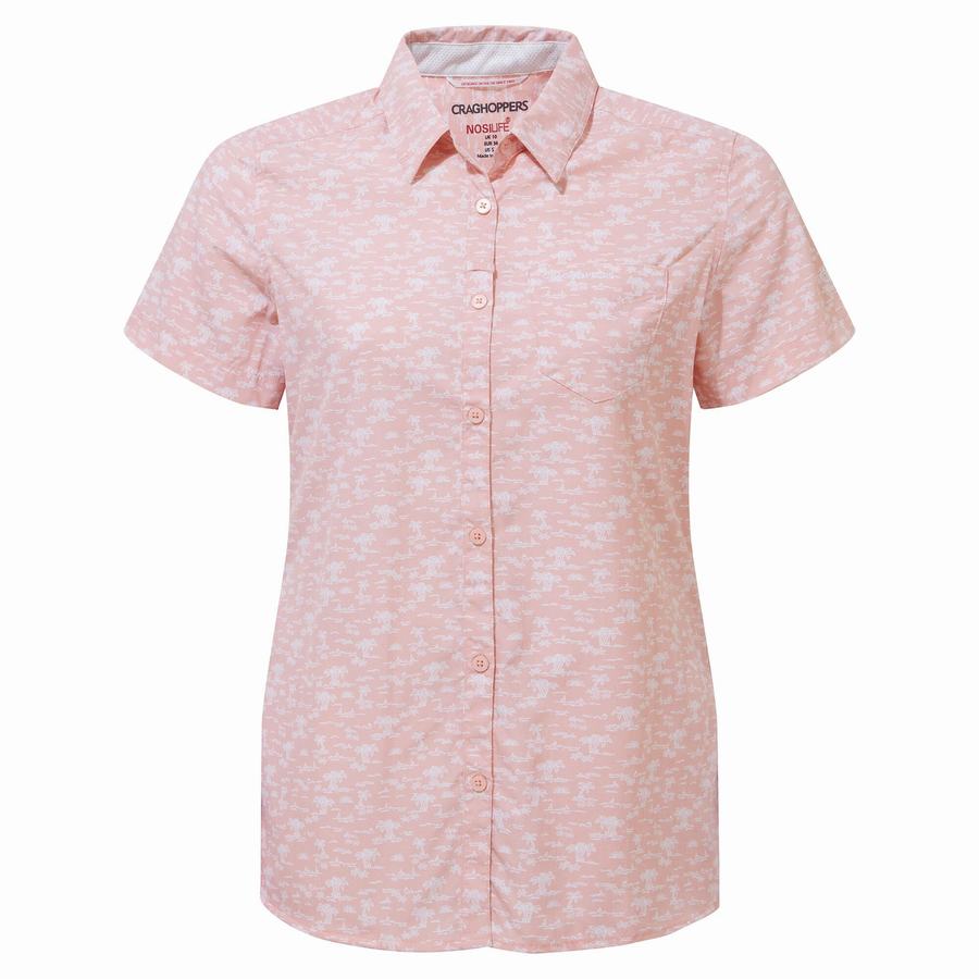 Craghoppers NosiLife Tillia Short Sleeved Women's Shirts Pink | JUG433MZ