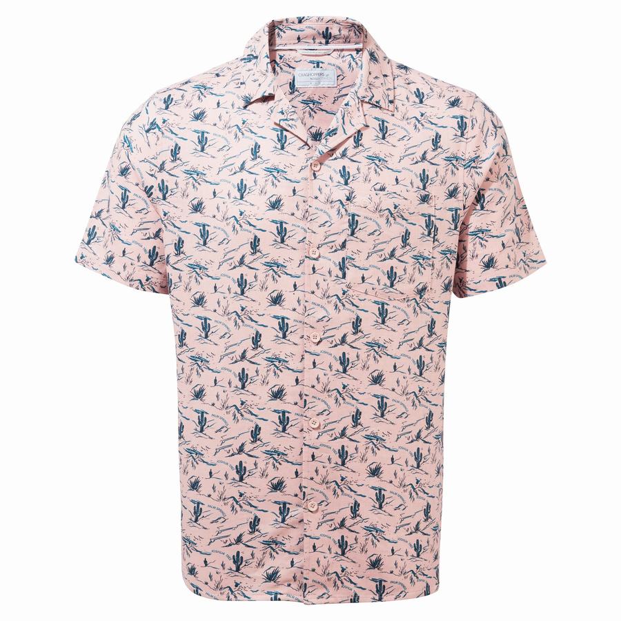 Craghoppers Nosibotanical Hula Short Sleeved Men's Shirts Pink | XHX24EI