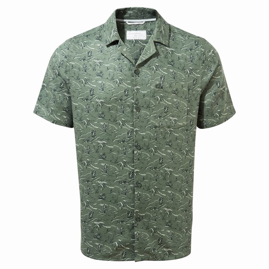 Craghoppers Nosibotanical Hula Short Sleeved Men\'s Shirts Green | ZVZ2920QV