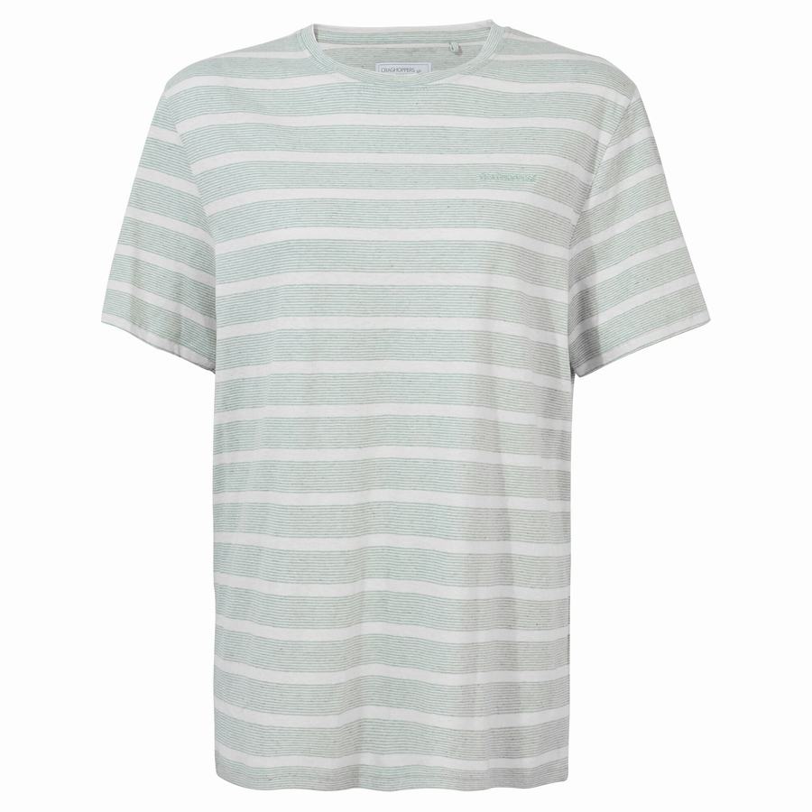 Craghoppers Nosibotanical Sten Short Sleeved Men's T-Shirts Green Stripes | LPB3979SA