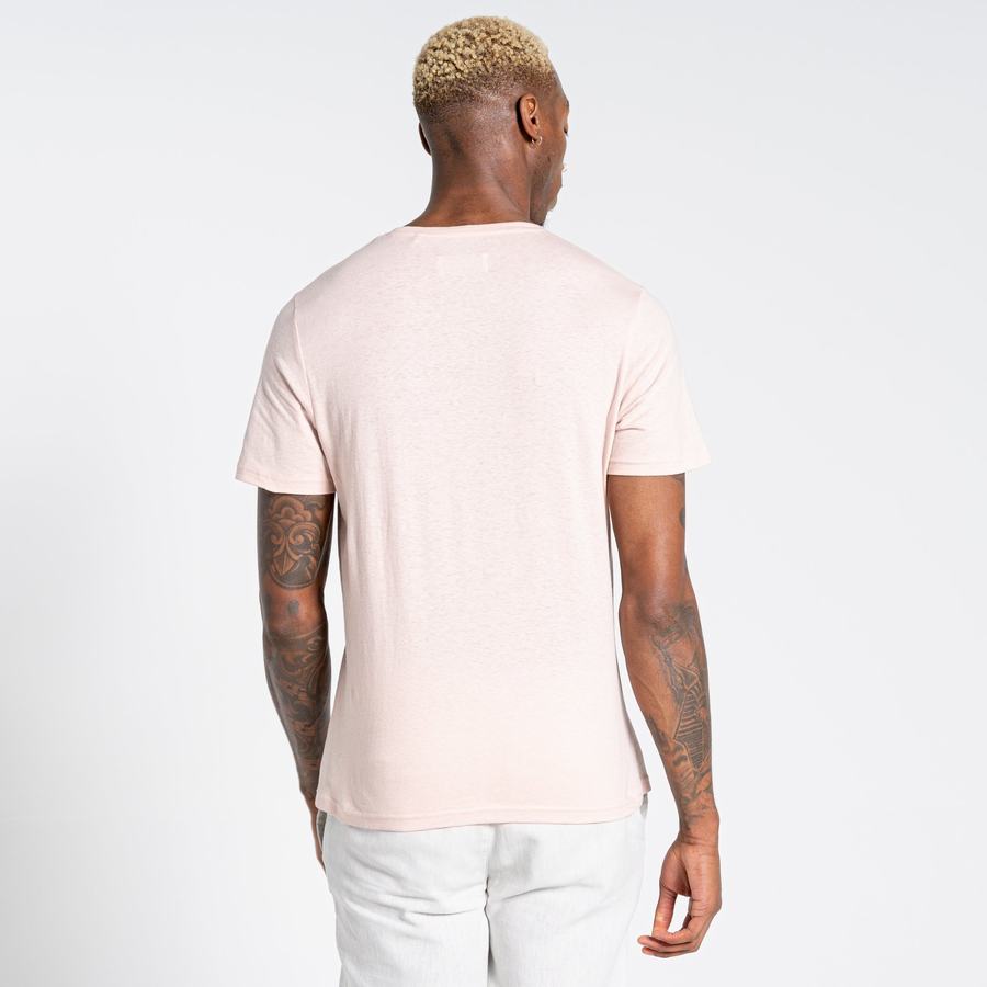 Craghoppers Nosibotanical Sten Short Sleeved Men's T-Shirts Pink | VNG21PN