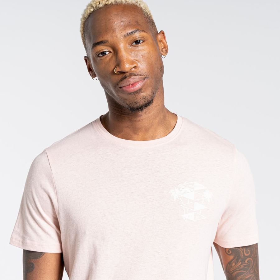 Craghoppers Nosibotanical Sten Short Sleeved Men's T-Shirts Pink | VNG21PN