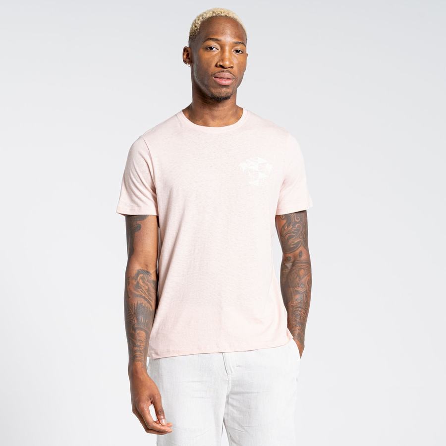 Craghoppers Nosibotanical Sten Short Sleeved Men's T-Shirts Pink | VNG21PN