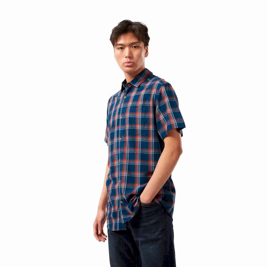 Craghoppers Rafie Short Sleeved Check Men's Shirts Navy Blue | LWS8090XZ