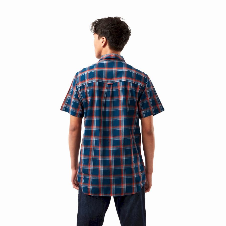 Craghoppers Rafie Short Sleeved Check Men's Shirts Navy Blue | LWS8090XZ