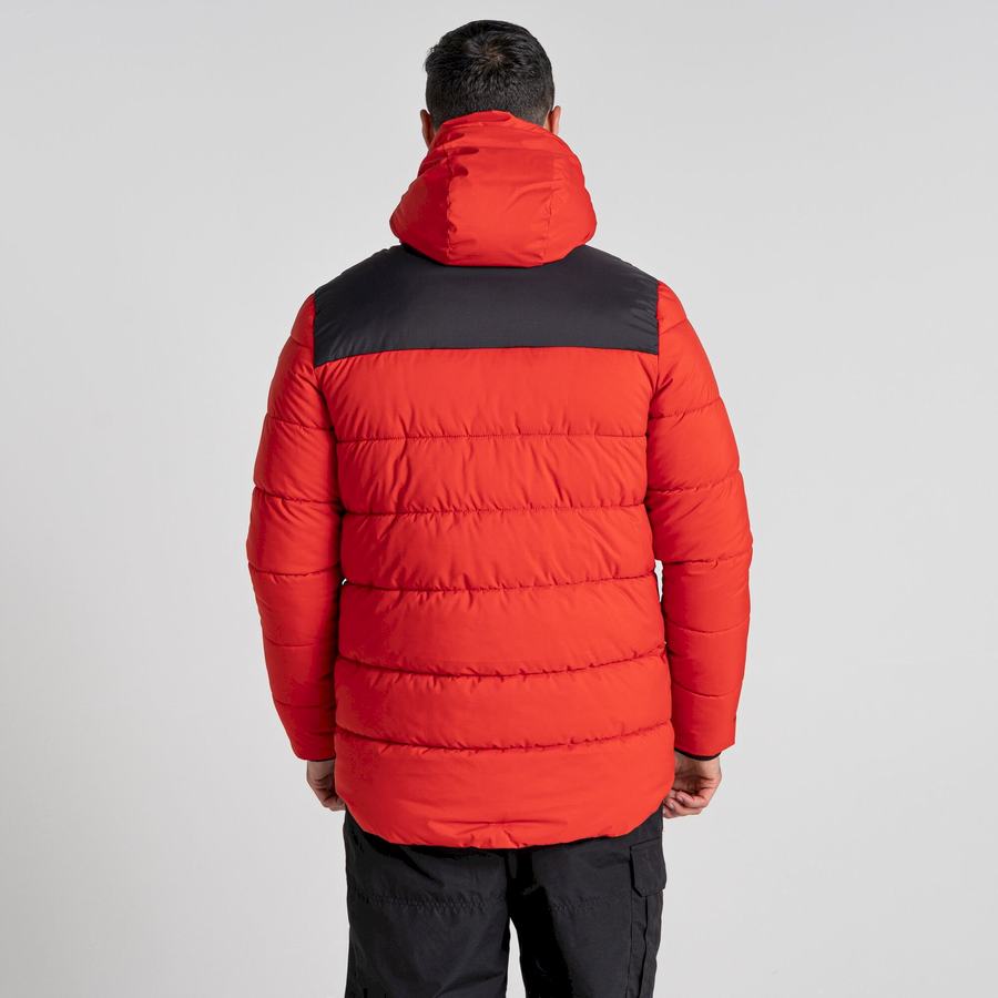 Craghoppers Sutherland Insulated Hooded Men's Jackets Red Black | USV5769GQ