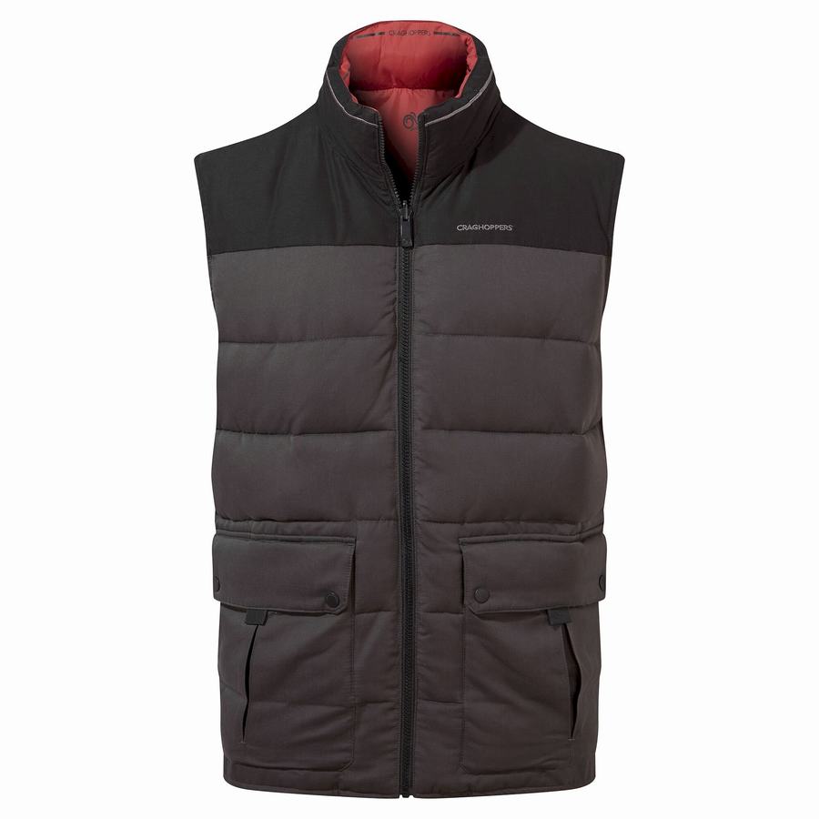 Craghoppers Trillick Downlike Men\'s Gilets Black | ORK4423AF