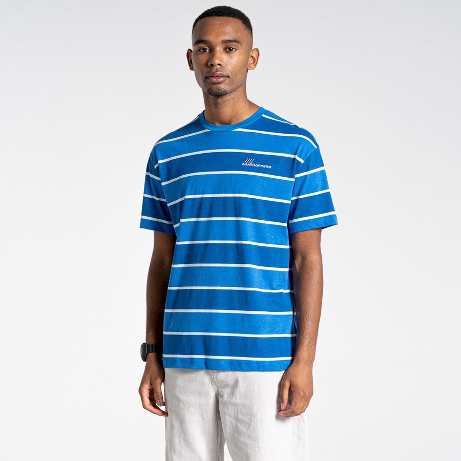 Craghoppers Ventura Short Sleeved Men's T-Shirts Blue Stripes | BNY2712NH