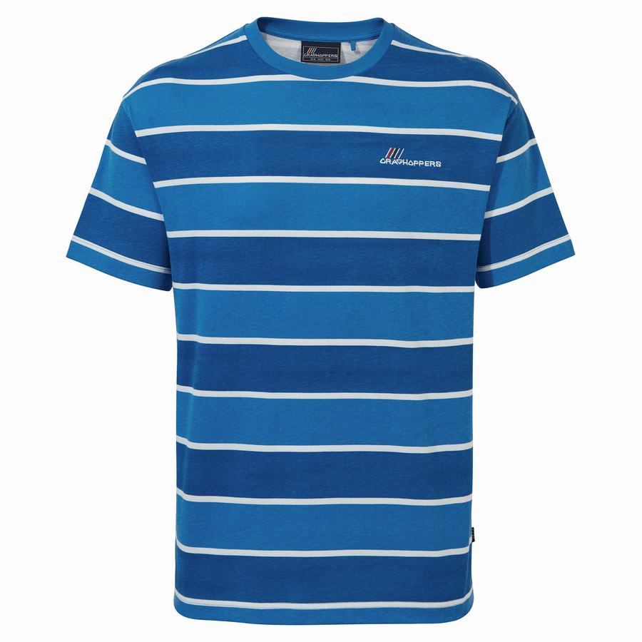 Craghoppers Ventura Short Sleeved Men's T-Shirts Blue Stripes | BNY2712NH