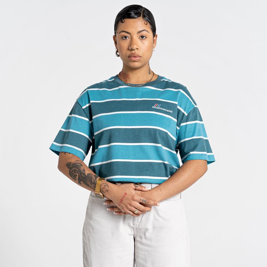 Craghoppers Ventura Short Sleeved Men's T-Shirts Green Stripes | FOX6341BK