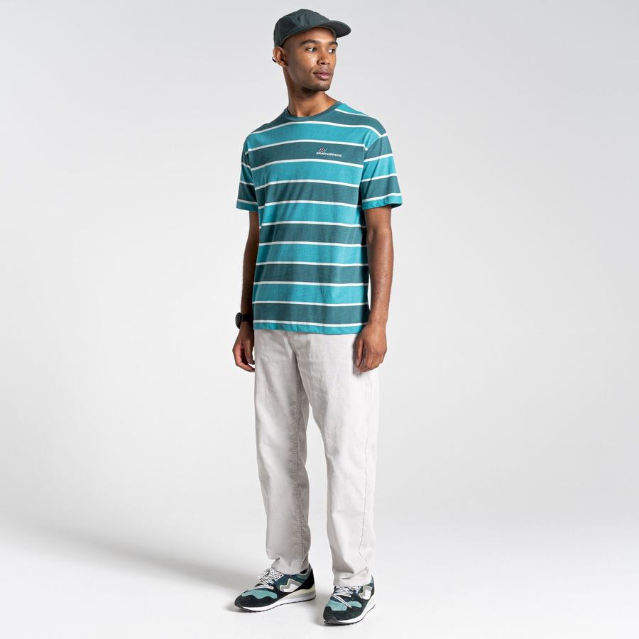 Craghoppers Ventura Short Sleeved Men's T-Shirts Green Stripes | FOX6341BK