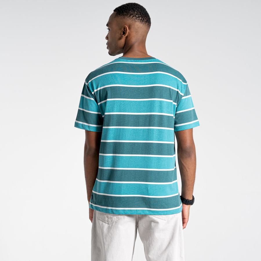 Craghoppers Ventura Short Sleeved Men's T-Shirts Green Stripes | FOX6341BK