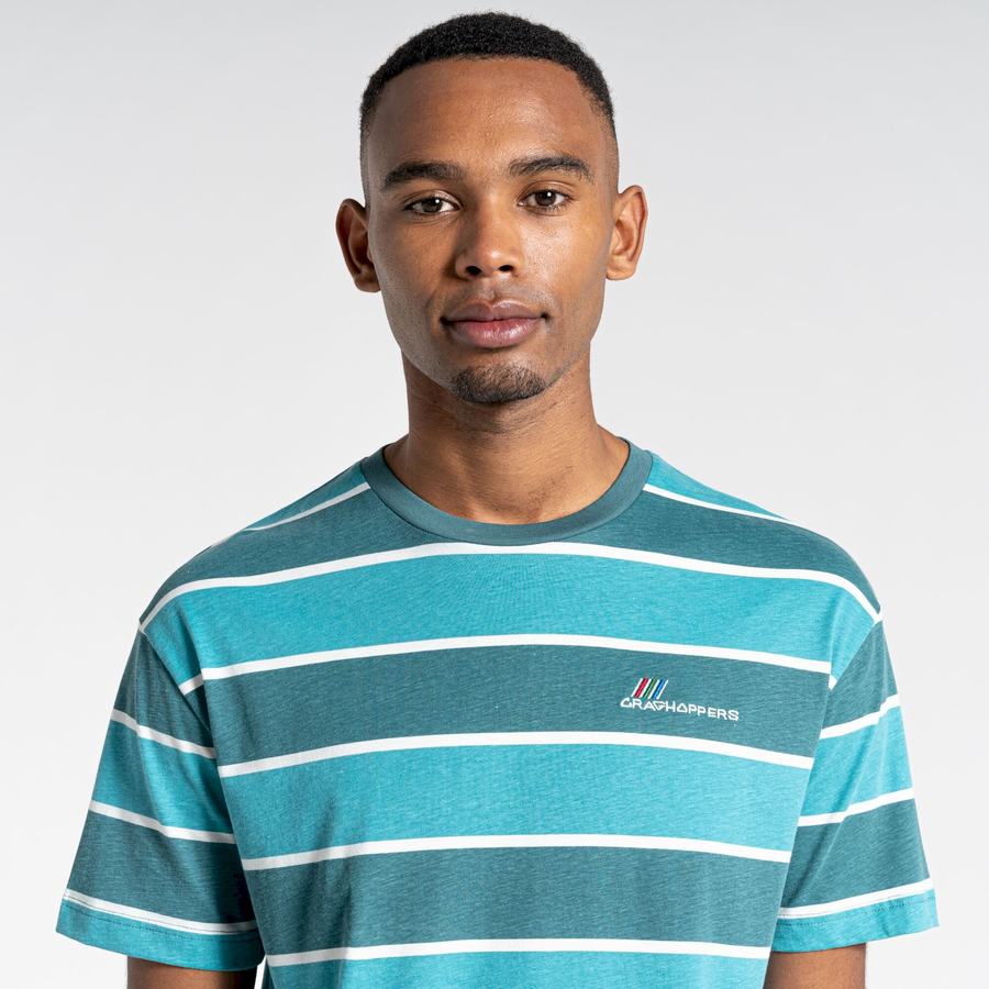 Craghoppers Ventura Short Sleeved Men's T-Shirts Green Stripes | FOX6341BK