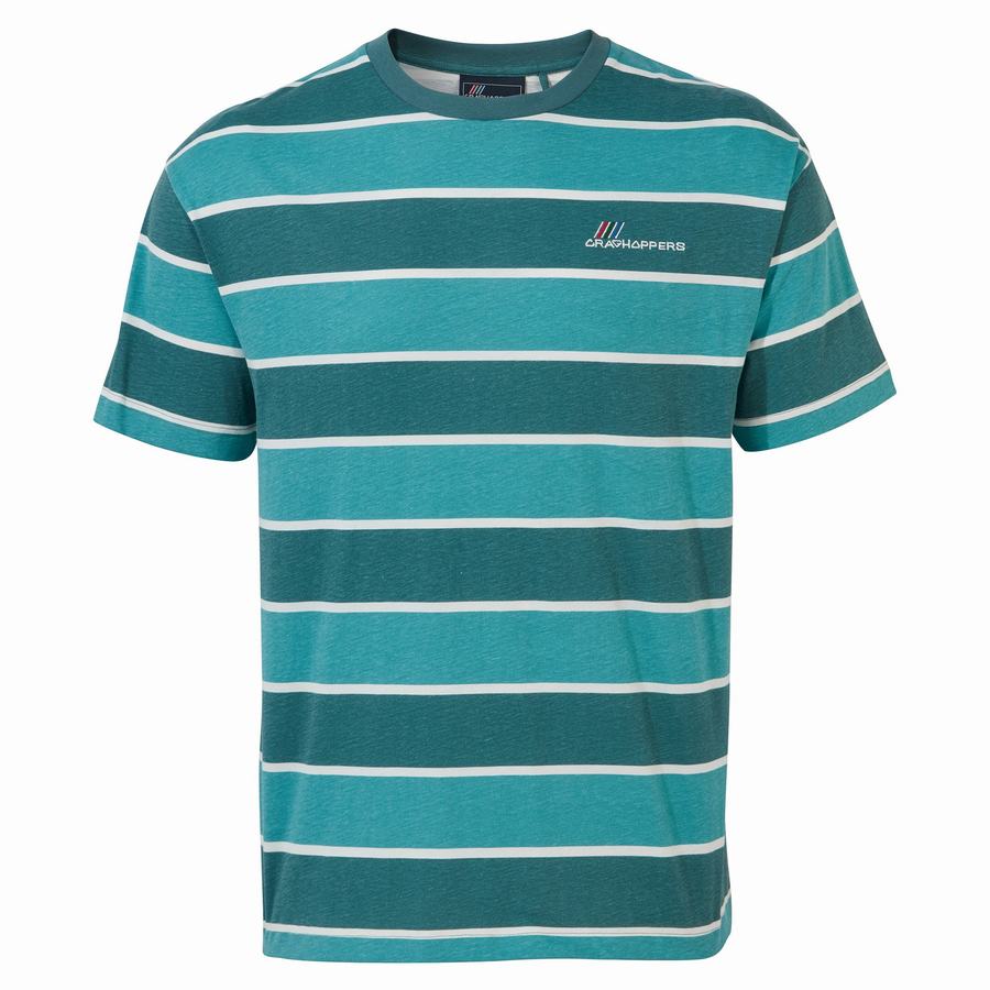 Craghoppers Ventura Short Sleeved Men\'s T-Shirts Green Stripes | FOX6341BK