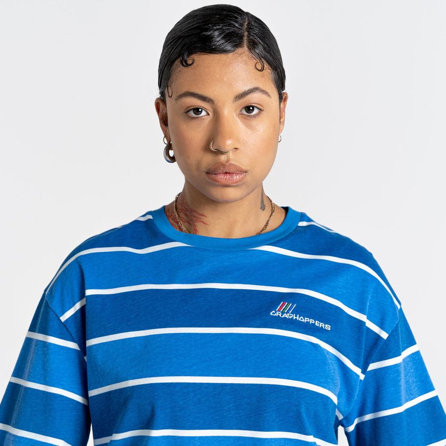 Craghoppers Ventura Short Sleeved Women's T-Shirts Blue Stripes | RXX1006NA